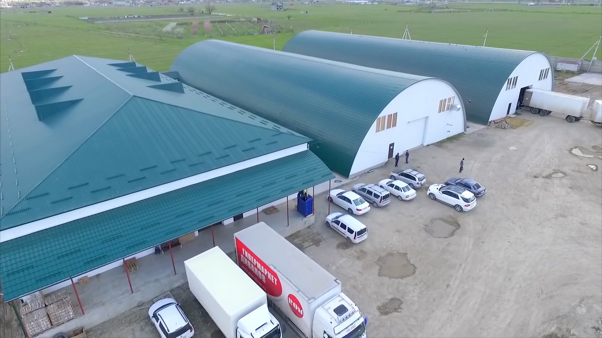 videoplayback.00 00 42 00.