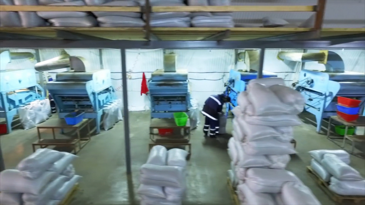 videoplayback.00 01 05 10.