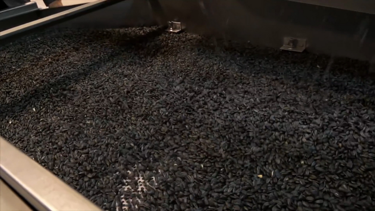 videoplayback.00 02 44 03.