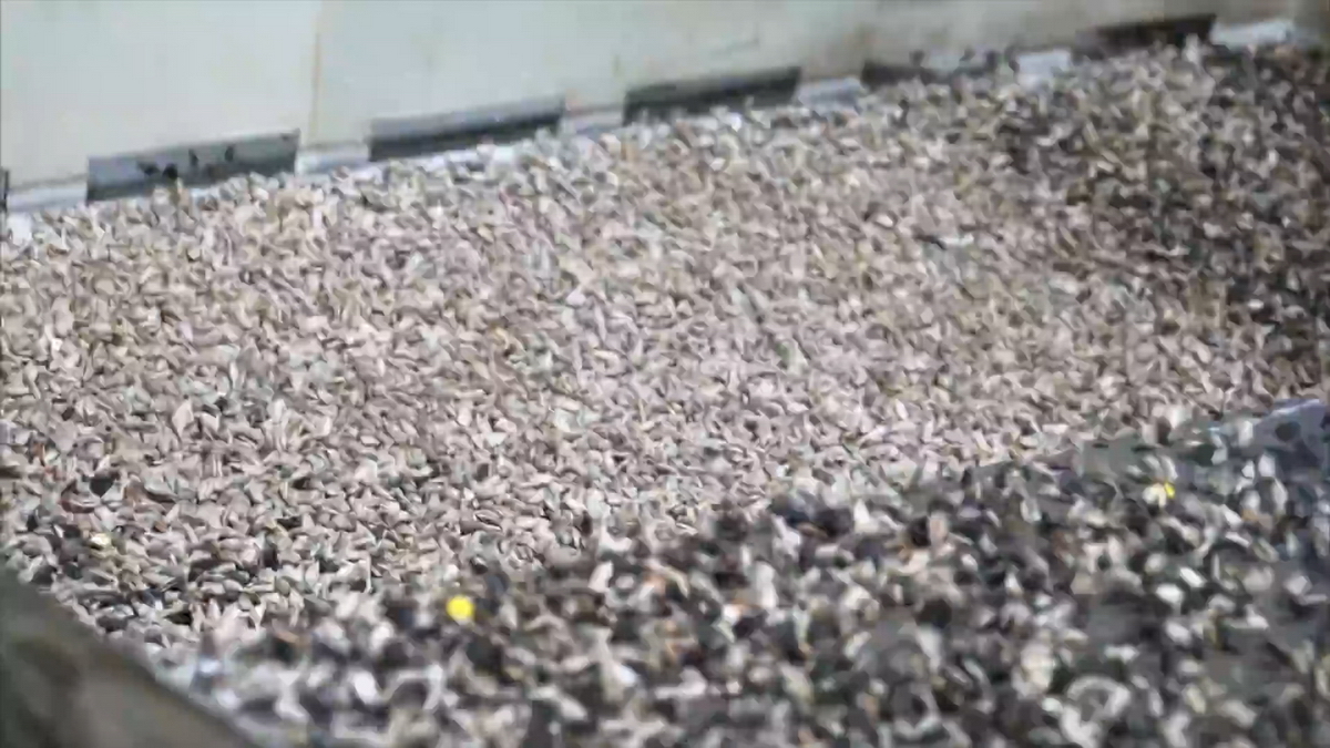 videoplayback.00 04 15 01.