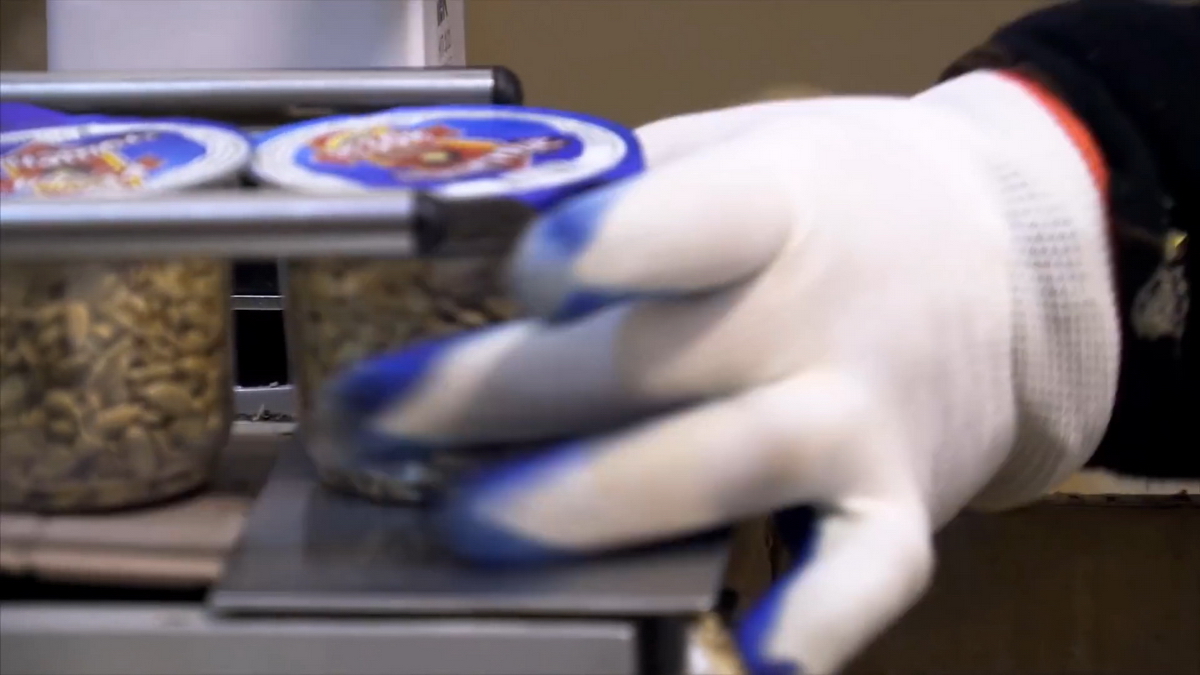 videoplayback.00 04 54 15.