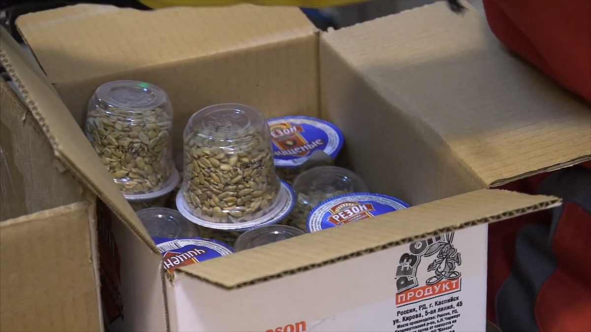 videoplayback.00 05 01 11.