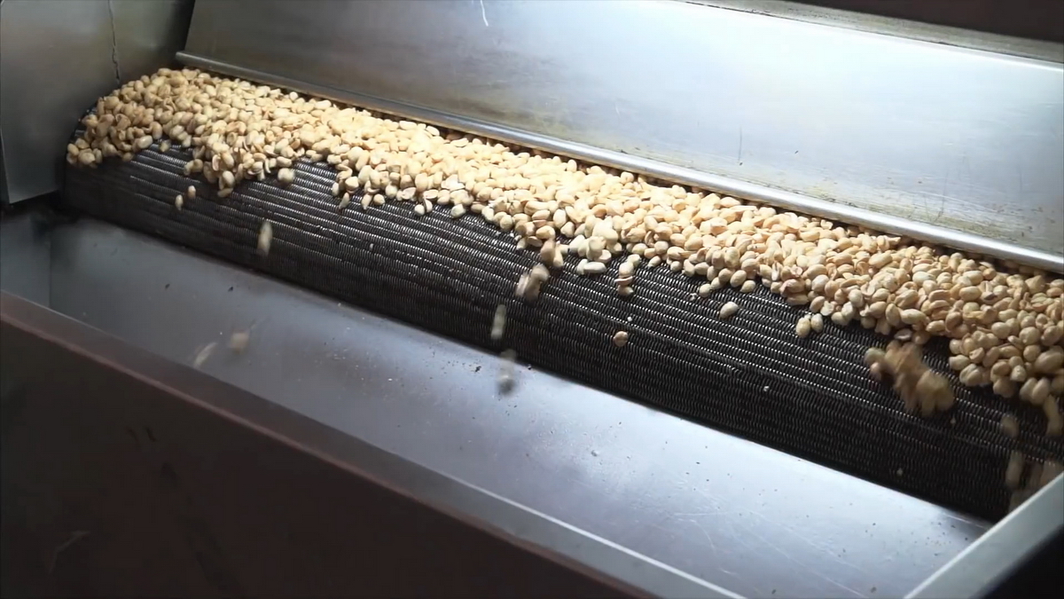 videoplayback.00 05 15 18.