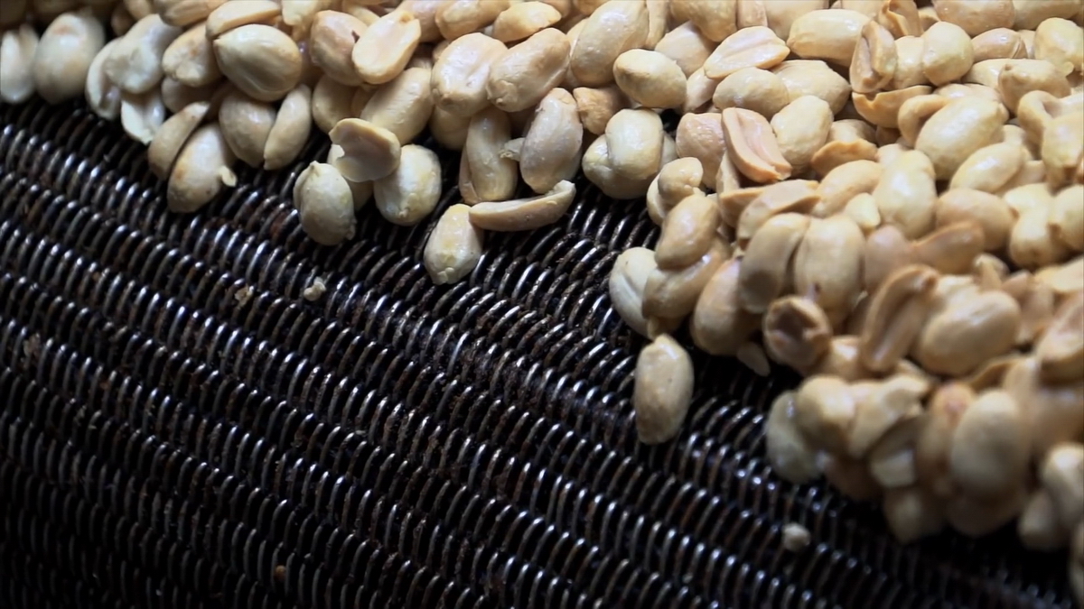 videoplayback.00 05 19 24.