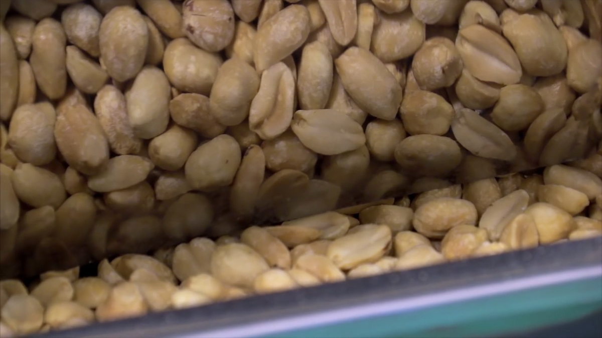 videoplayback.00 05 25 11.