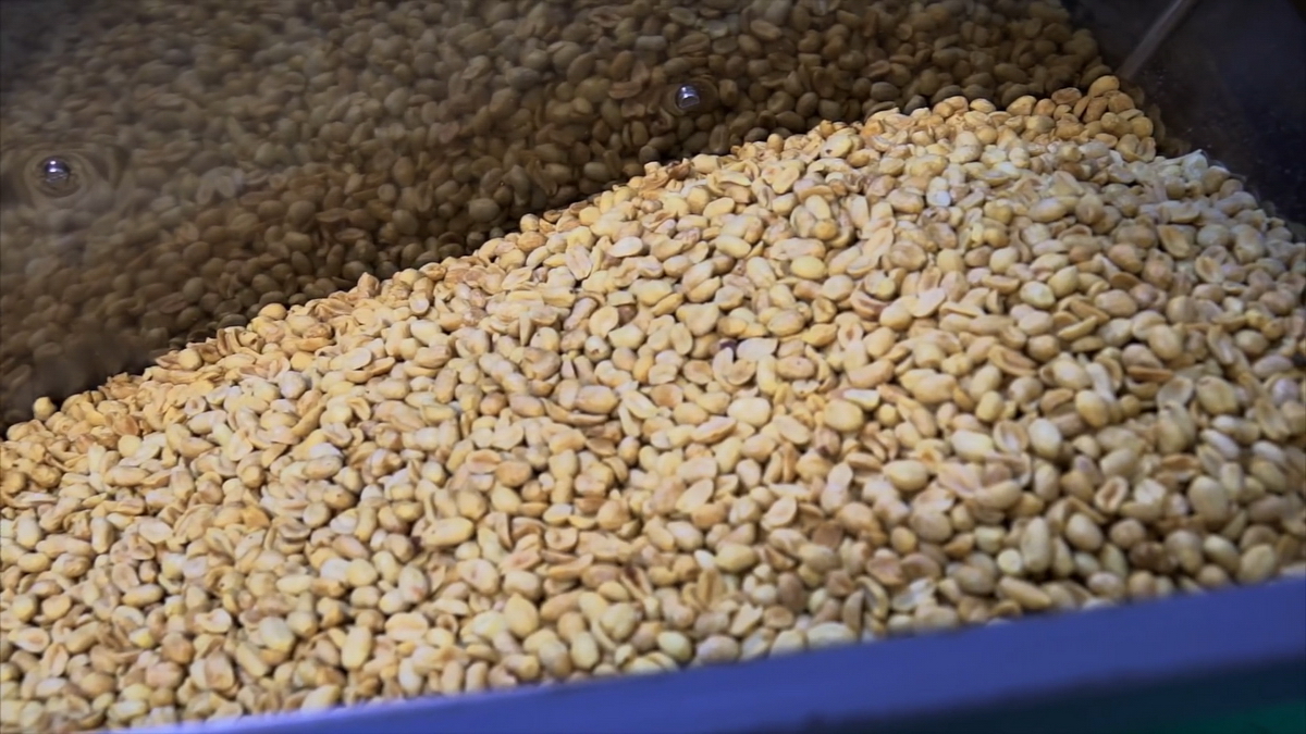 videoplayback.00 05 30 06.