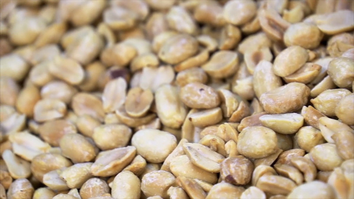 videoplayback.00 05 32 00.