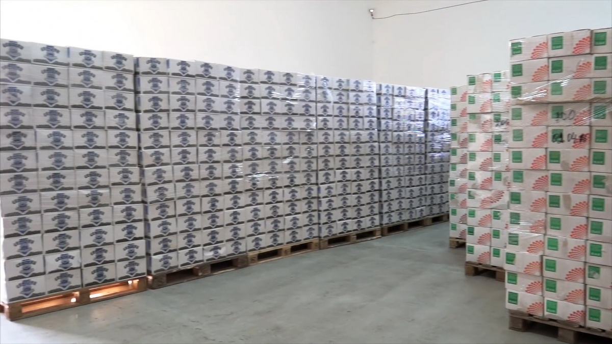 videoplayback.00 07 48 22.